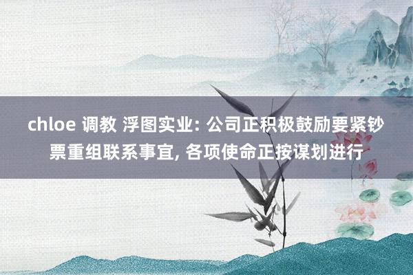 chloe 调教 浮图实业: 公司正积极鼓励要紧钞票重组联系事宜， 各项使命正按谋划进行