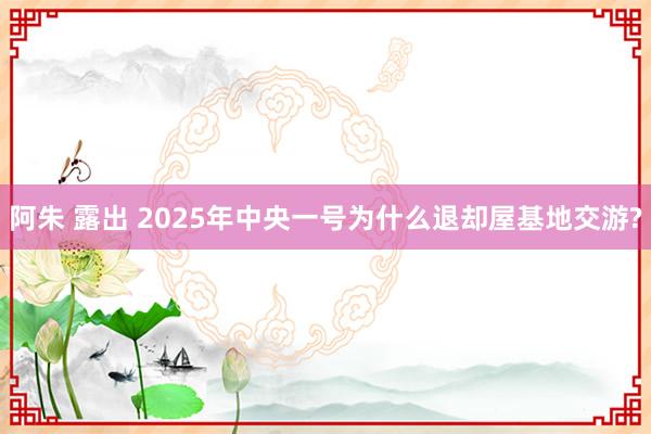 阿朱 露出 2025年中央一号为什么退却屋基地交游?