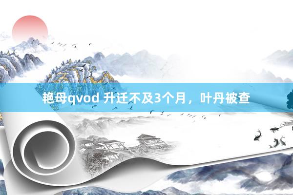 艳母qvod 升迁不及3个月，叶丹被查