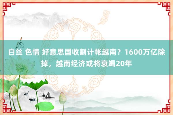 白丝 色情 好意思国收割计帐越南？1600万亿除掉，越南经济或将衰竭20年