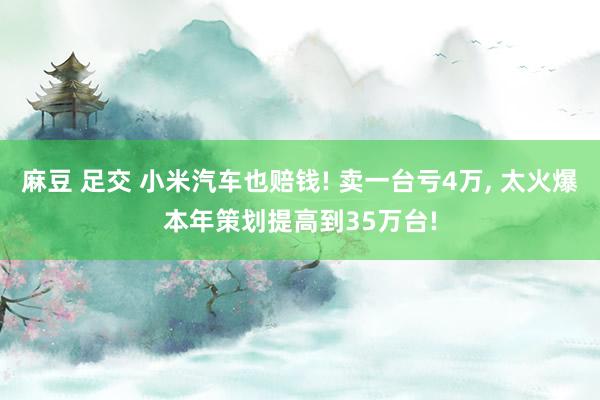 麻豆 足交 小米汽车也赔钱! 卖一台亏4万， 太火爆本年策划提高到35万台!