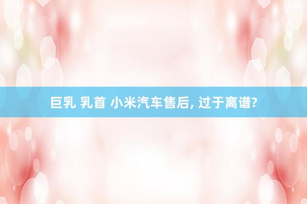 巨乳 乳首 小米汽车售后， 过于离谱?