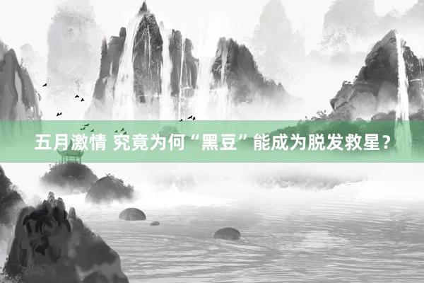 五月激情 究竟为何“黑豆”能成为脱发救星？