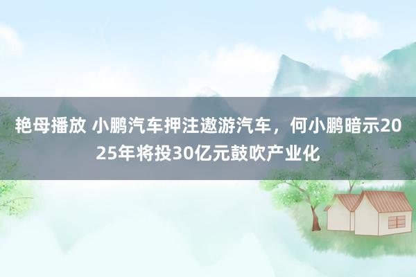 艳母播放 小鹏汽车押注遨游汽车，何小鹏暗示2025年将投30亿元鼓吹产业化